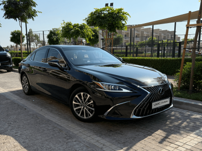 Untitled-design.png-e1732513442169